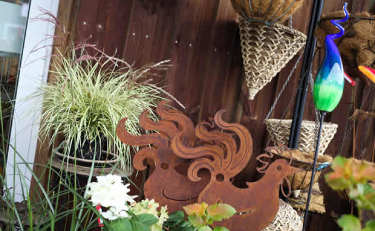 Dekorative Pflanzen und Gartendeko Dekorative Pflanzen und Gartendeko