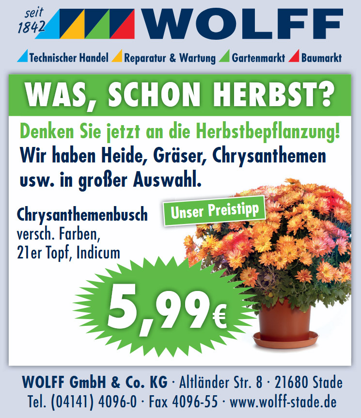 Wir haben Heide, Gräser, Chrysanthemen usw. in großer Auswahl.